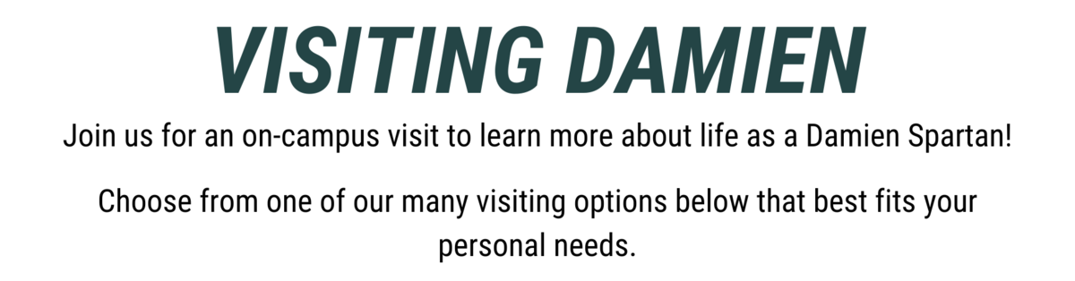 visiting Damien